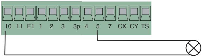 CAME ZL80 - Connexions électriques - 2