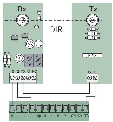 CAME ZL80 - Connexions électriques - 5