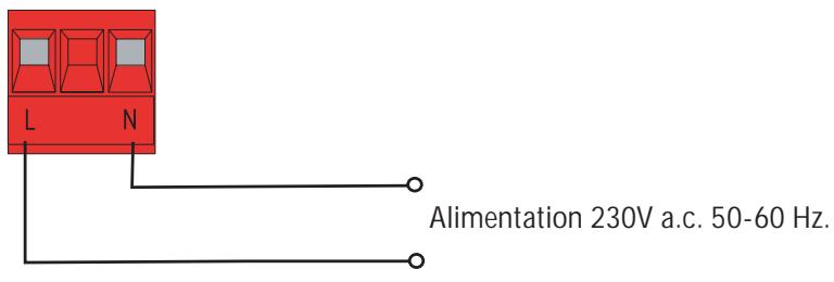CAME ZL80 - Connexions électriques - 1