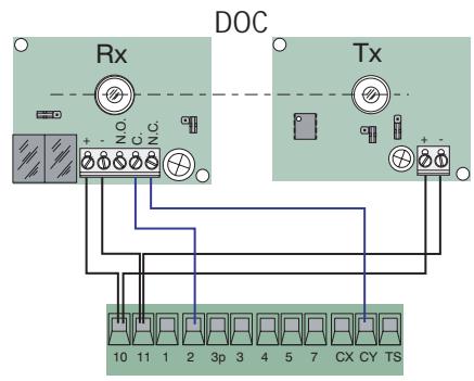 CAME ZL80 - Connexions électriques - 4