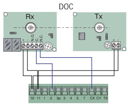 CAME ZL80 - Connexions électriques - 2