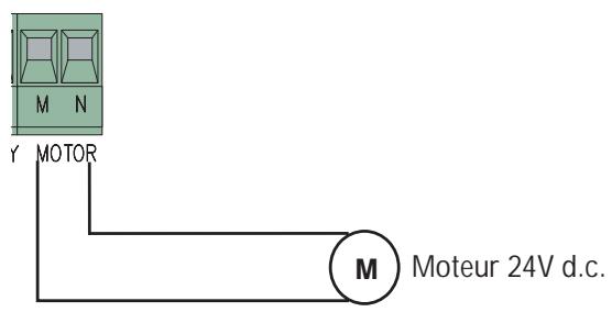 CAME ZL80 - Connexions électriques - 2