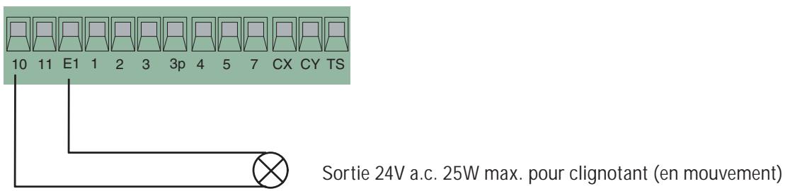 CAME ZL80 - Connexions électriques - 3