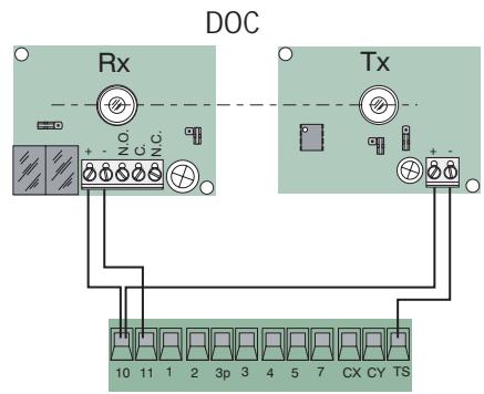 CAME ZL80 - Connexions électriques - 6