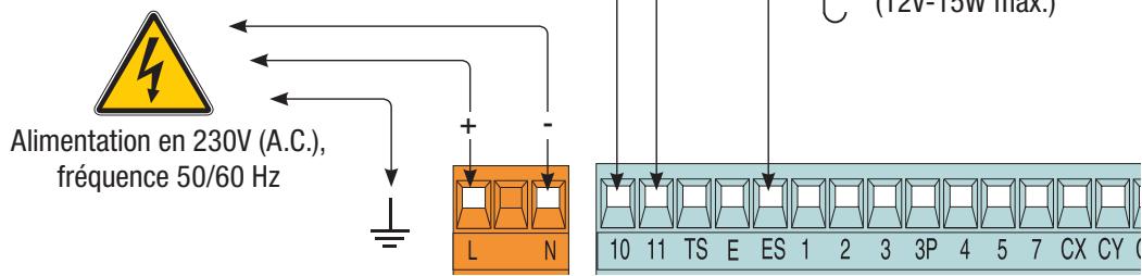 CAME ZLJ24 - Branchements électriques - 1