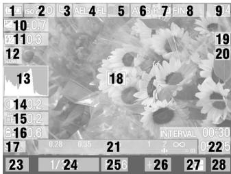 SIGMA DP2 MERRILL - CARTE MEMOIRE SD ET CARTE MULTIMEDIA (VENDUES SEPAREMENT) - 5