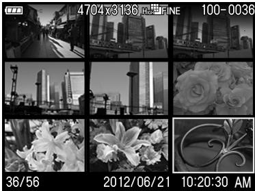 SIGMA DP2 MERRILL - MISE EN GARDE!! - 2