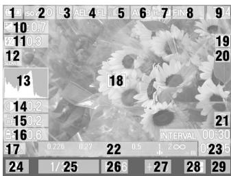 SIGMA DP3 MERRILL - CARTE MEMOIRE SD ET CARTE MULTIMEDIA (VENDUES SEPAREMENT) - 5