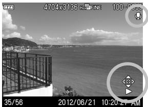SIGMA DP3 MERRILL - MISE EN GARDE !! - 1