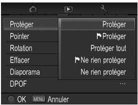 SIGMA DP3 MERRILL - PROTECTION DES FICHIERS - 1