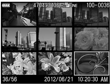 SIGMA DP3 MERRILL - MISE EN GARDE!! - 2