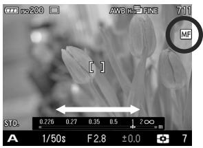 SIGMA DP3 MERRILL - AVERTISSEMENT !! - 1