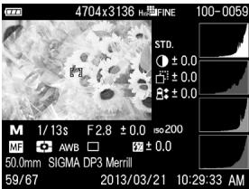 SIGMA DP3 MERRILL - MISE EN GARDE!! - 3