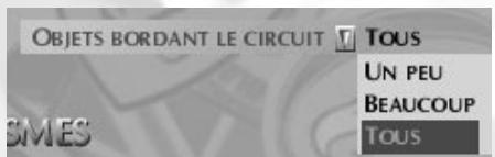 GAMES PC GRAND PRIX LEGENDS - 2.5b Les choix d'affichage - 3