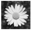 EPSON XP 225 - Code des cartouches d'encre - 1