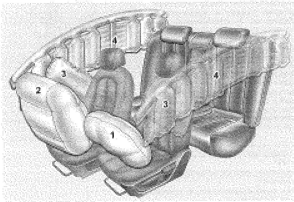 HYUNDAI I30 2008 - AIRBAG - SYSTÉME DE RETENUE SUPPLEMENTaire (LE CAS ÉCHÉANT) - 1