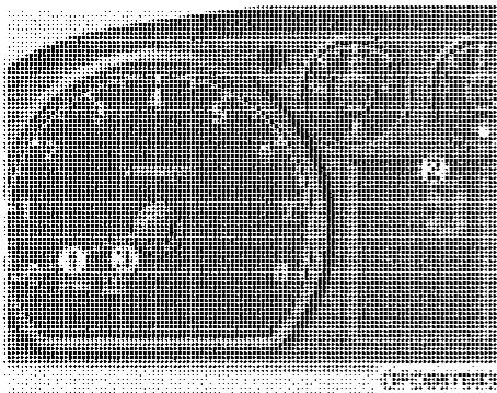 HYUNDAI I30 2008 - SYSTEME DE SURVEILLANCE DE LA PRESSION DES PNEUS (LE CAS ÉCHÉANT) - 1