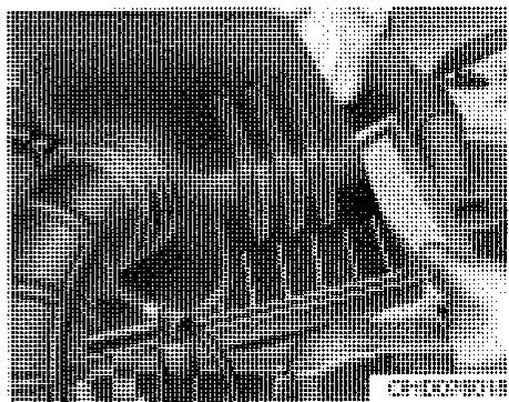 HYUNDAI I30 2008 - Remplacement du filtré - 2