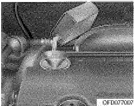 HYUNDAI I30 2008 - A VERTISSEMENT - Tuyau du radiateur - 1