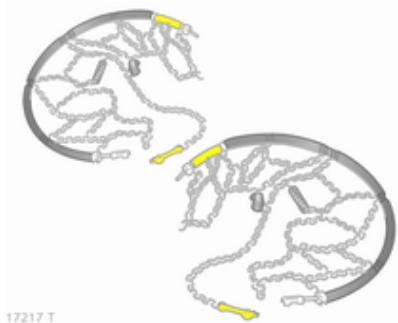 OPEL ZAFIRA 2 - Châines à neige - 1