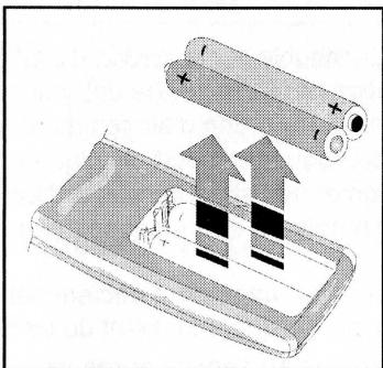 TECHWOOD DV 230 S - Insertion des piles dans la télécommande - 1