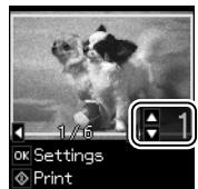 EPSON XP315 - Copie de photos ou de documents - 3