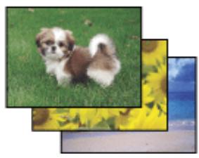 EPSON XP950 - Impression de photos avec Easy Photo Print - 1