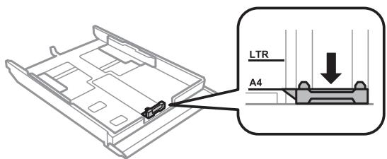 EPSON XP950 - Manipulation du papier et des supports - 1