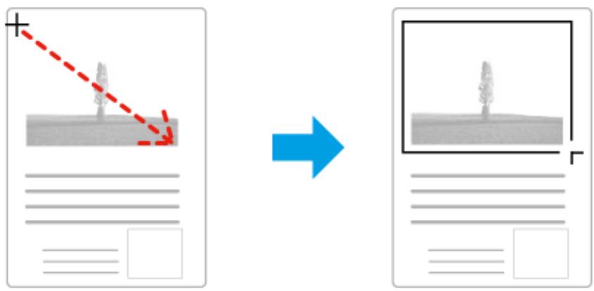 EPSON XP950 - Création d'une zone de cadrage - 1
