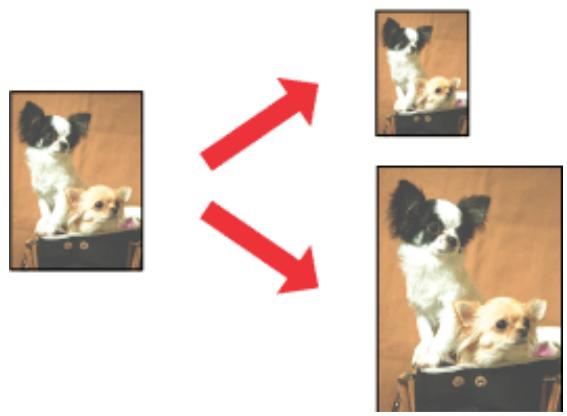 EPSON XP950 - Impression avec ajustement à la taille du papier (Zoom) - 1