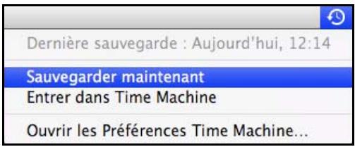 WESTERN DIGITAL MY BOOK LIVE, MY BOOK LIVE DUO - Lancement d'une sauvegarde - 1