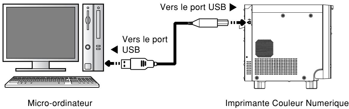 MITSUBISHI CP9810DW - Connexion à un ordinateur (exemple) - 1