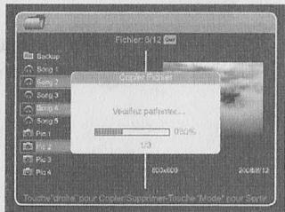 CARREFOUR BFV882 - Pour copier un fichier à partir d'une carte mémoire ou d'un périphérique flash USB vers la mémoire interne : - 2