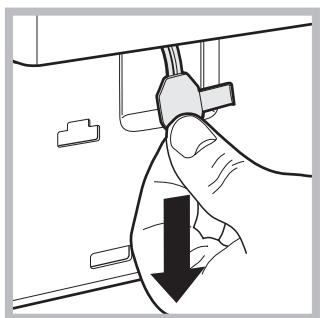 ARISTON AQ9F492U - Apertura manual de la puerta - 3
