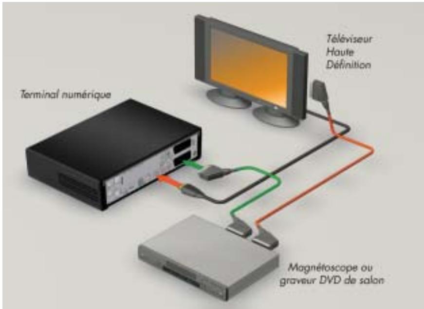 CANALSAT MEDIASAT MAX - RACCORDEMENT A UN TELEVISEUR HAUTE DEFINITION - 1