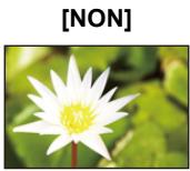 PANASONIC DMC FZ200 - À propos du menu de configuration - 2