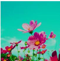 PANASONIC DMC FZ200 - [Dévelop. Croisé] - 1