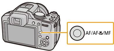 PANASONIC DMC FZ200 - Prises de Vues en Gros Plan - 2