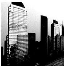 PANASONIC DMC FZ200 - [Monochrome dynamique] - 1