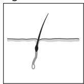 REMINGTON IPL6000 I-LIGHT PRO - SVENSKA - 2