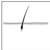 REMINGTON IPL6000 I-LIGHT PRO - ITALIANO - 3