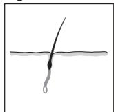 REMINGTON IPL6000 I-LIGHT PRO - ENGLISH - 2