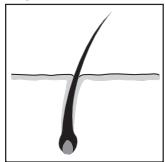 REMINGTON IPL6000 I-LIGHT PRO - SLOVENCINA - 1