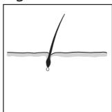 REMINGTON IPL6000 I-LIGHT PRO - DANSK - 3