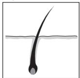 REMINGTON IPL6000 I-LIGHT PRO - ITALIANO - 1