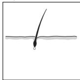 REMINGTON IPL6000 I-LIGHT PRO - SLOVENCINA - 3