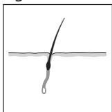 REMINGTON IPL6000 I-LIGHT PRO - DANSK - 2