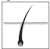 REMINGTON IPL6000 I-LIGHT PRO - SVENSKA - 1