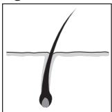 REMINGTON IPL6000 I-LIGHT PRO - ENGLISH - 1