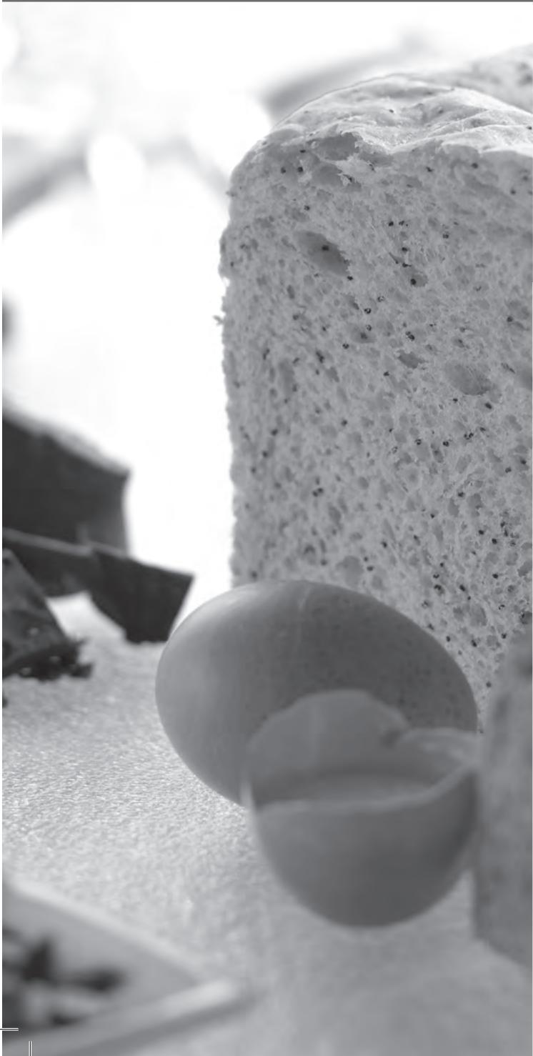 RIVIERA & BAR RIVIERA & BAR QD 793 A - Conseils : - 1